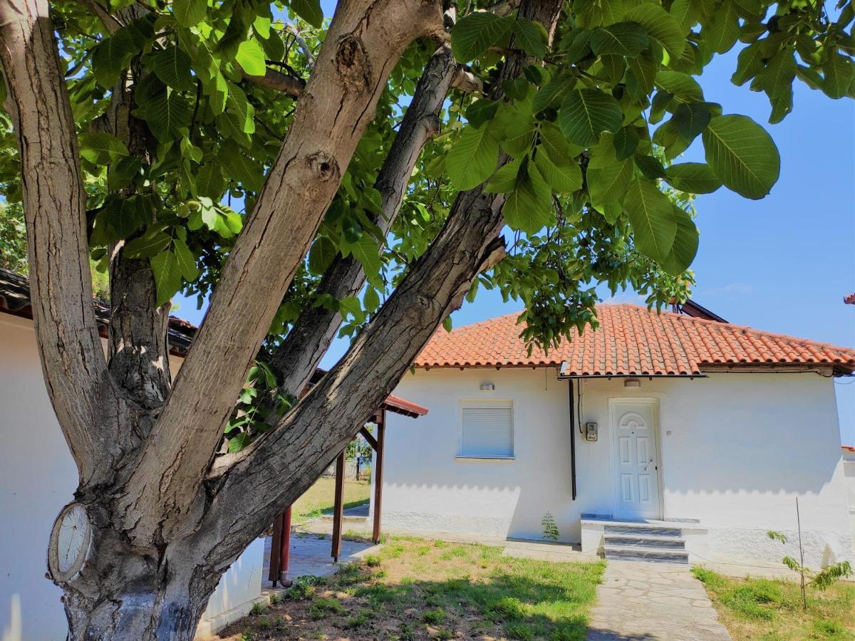 Вилла White Clam Vintage House With Sea View & Garden Макри-Ялос Экстерьер фото