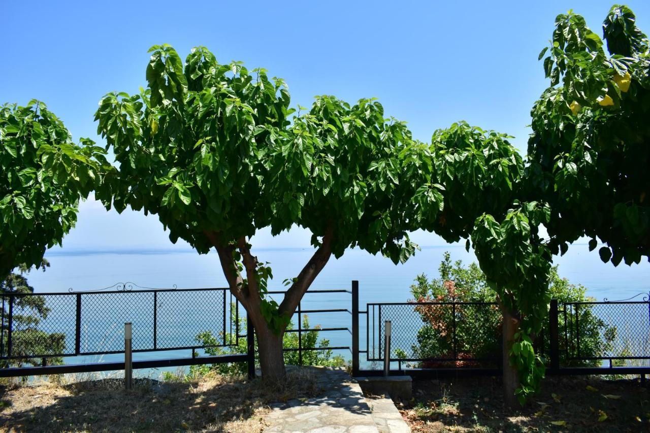 Вилла White Clam Vintage House With Sea View & Garden Макри-Ялос Экстерьер фото
